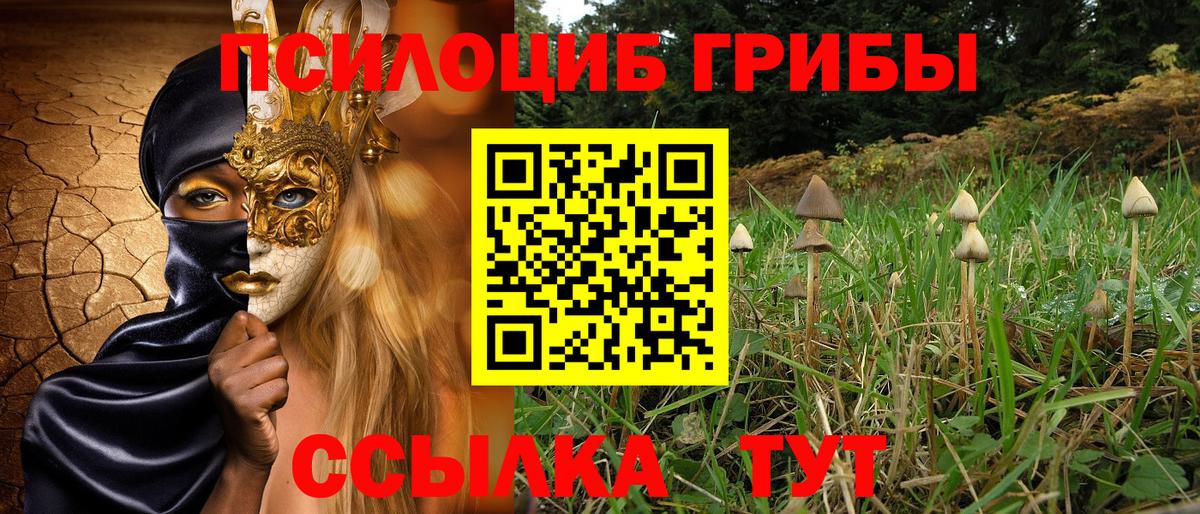 Галлюциногенные грибы MAGIC MUSHROOMS Богородицк